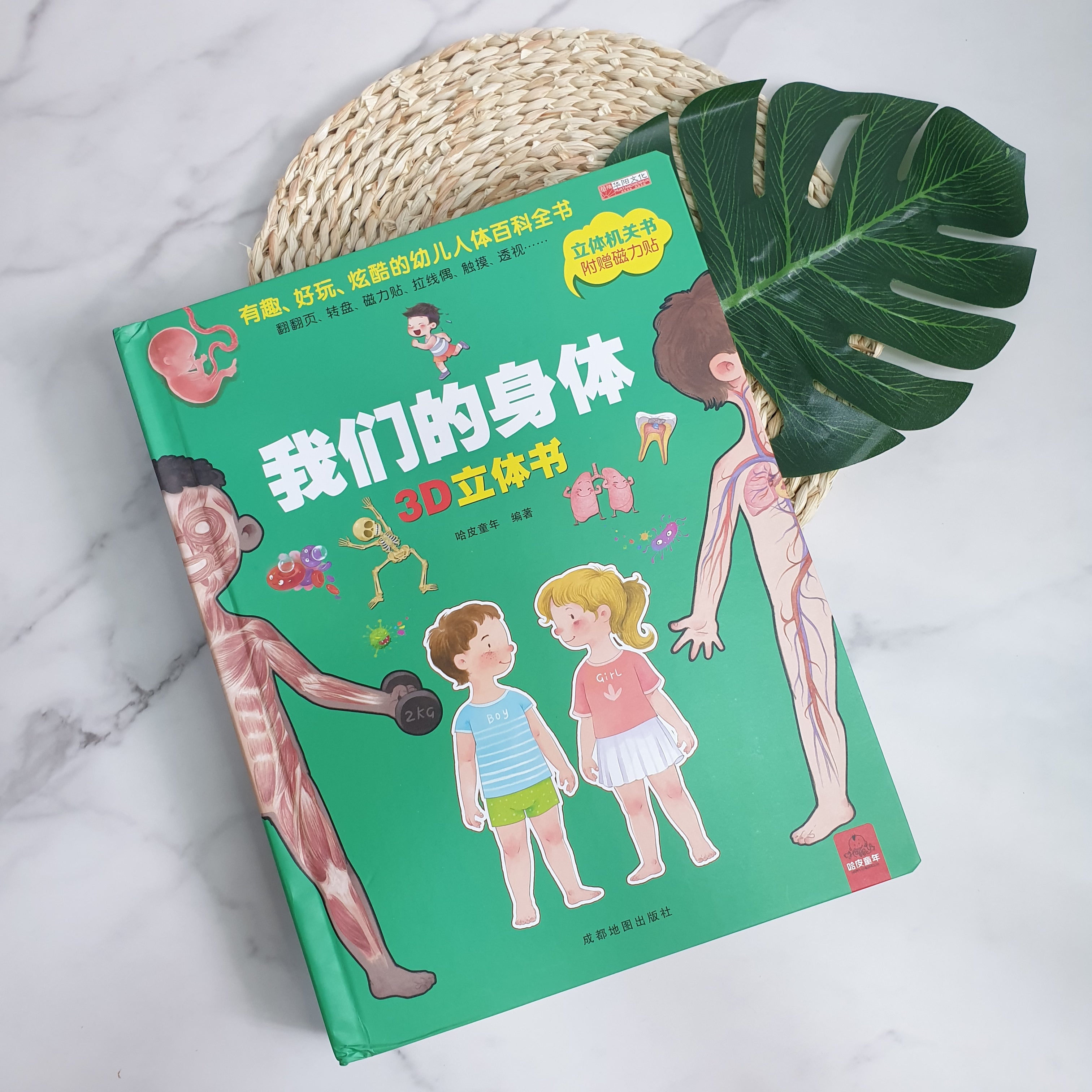 3D Chinese Book: Knowing Your Body – PetitExplorersCo