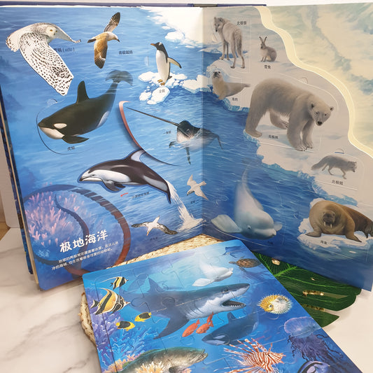 3D Chinese Book: Ocean Adventure