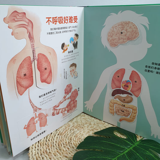 3D Chinese Book: Knowing Your Body