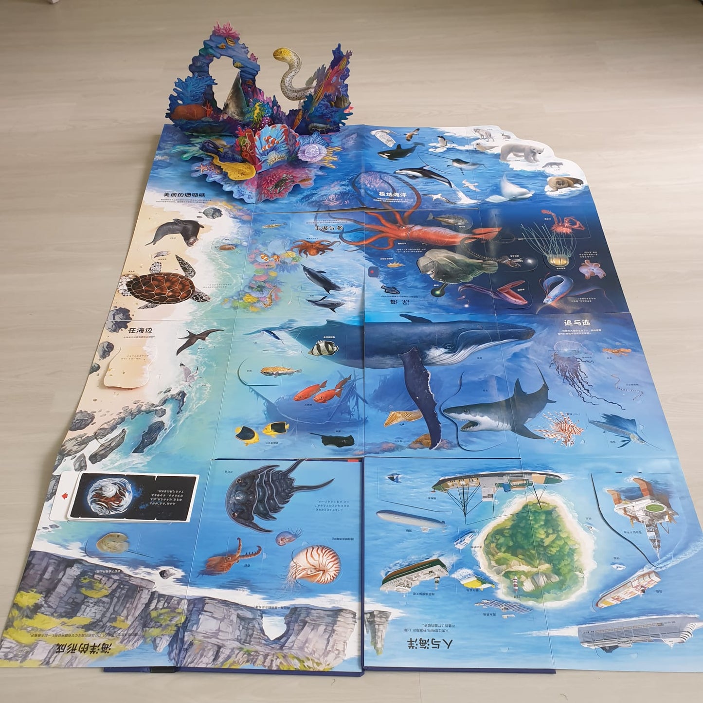 3D Chinese Book: Ocean Adventure