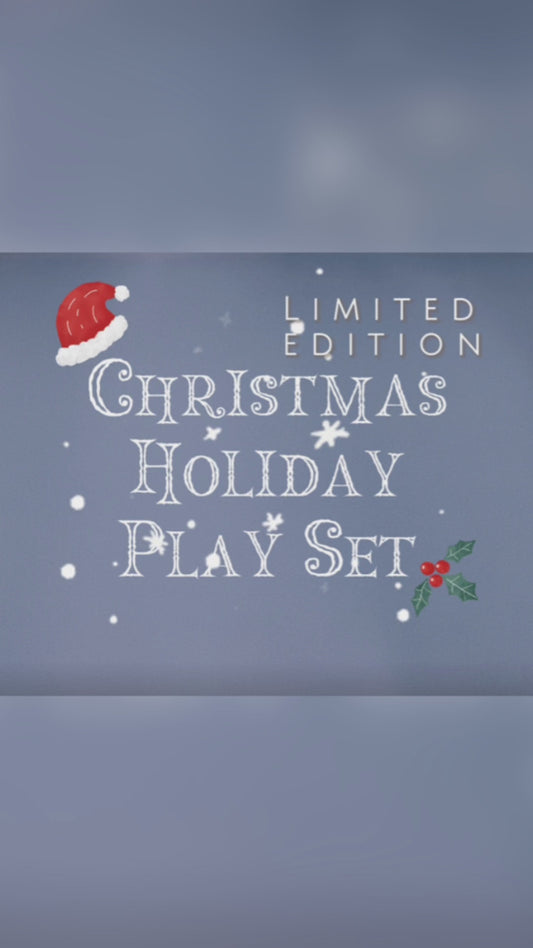 Christmas Holiday Play Set (Xmas Limited Edition)