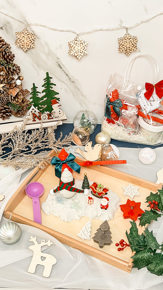 Christmas Holiday Play Set (Xmas Limited Edition)